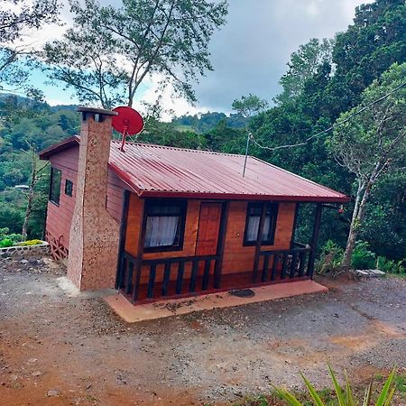 Las Bromelias Lodge Paso Macho Extérieur photo