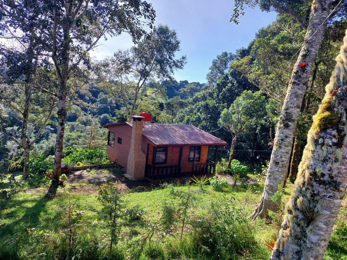 Las Bromelias Lodge Paso Macho Extérieur photo